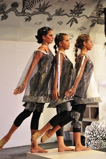 Moemoea: Danse contemporaine et traditionnelle à partir des encres de Chine de Léon Taerea