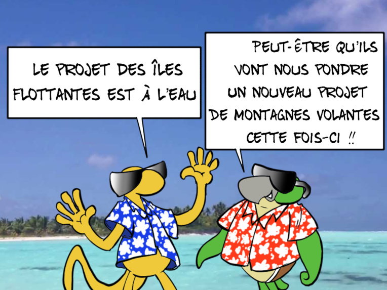 " Le projet des îles flottantes à l'eau " vu par Munoz " Le projet des îles flottantes à l'eau " vu par Munoz