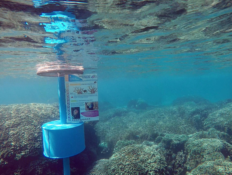 Neuf étapes composent le sentier aquatique de Vaiava est très facile d'accès. Crédit Fanny Seguin. Neuf étapes composent le sentier aquatique de Vaiava est très facile d'accès. Crédit Fanny Seguin.