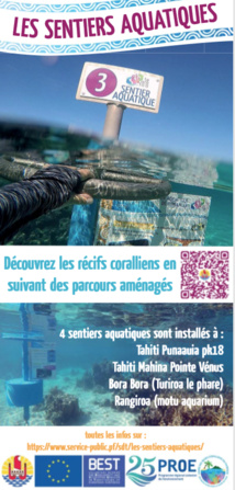 Partez à la découverte du lagon sur le sentier aquatique de Vaiava Partez à la découverte du lagon sur le sentier aquatique de Vaiava