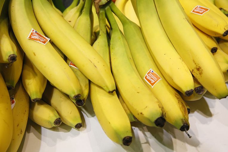 Pesticides: L'Assemblée rejette une nouvelle hausse des crédits du plan chlordécone Pesticides: L'Assemblée rejette une nouvelle hausse des crédits du plan chlordécone