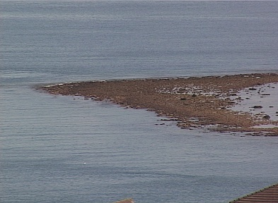 Photo Thomas Chabrol TNTV