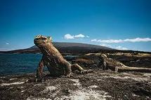Equateur: trois sites naturels aux Galapagos endommagés par le tsunami