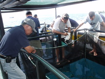 Dernière ligne droite pour le Centre Technique Aquacole « Vaia »