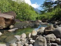 Une femme se noie dans la rivière Mahateaho Une femme se noie dans la rivière Mahateaho