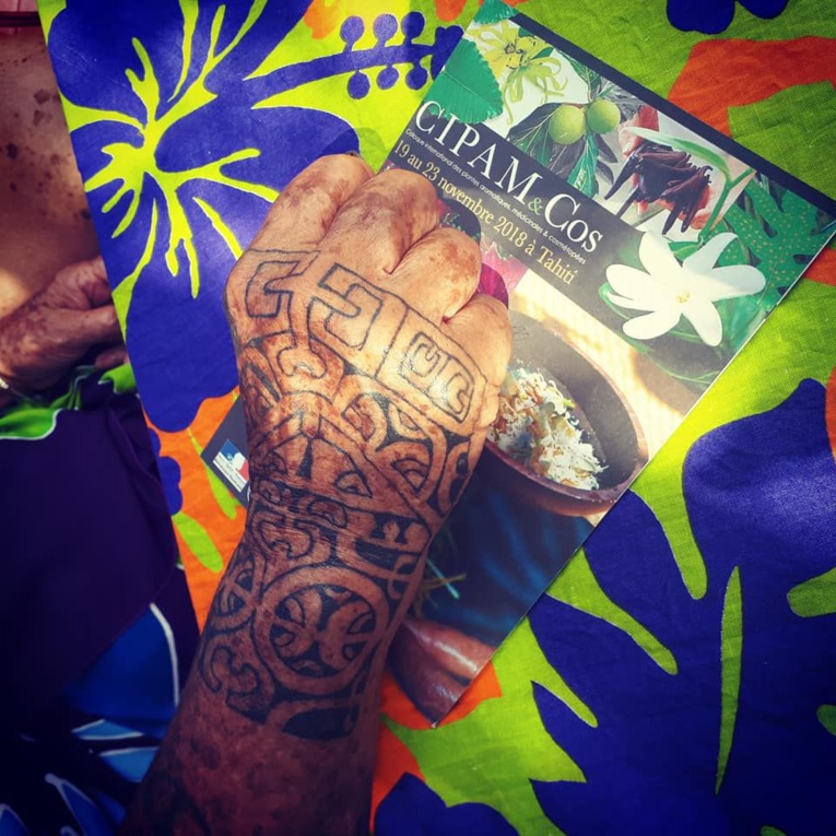 Les chercheurs ont encore beaucoup à apprendre des plantes Les chercheurs ont encore beaucoup à apprendre des plantes