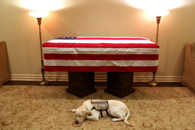 Le chien de George H. W. Bush l'accompagne pour son dernier voyage