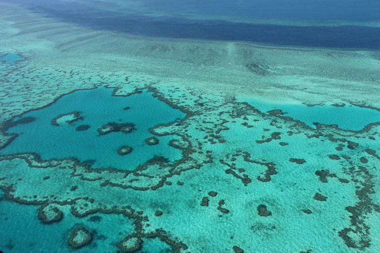 Récifs coralliens: limiter le réchauffement du climat ne suffit pas