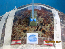 Des tortues suivies par satellite: une étude menée par Te mana o te moana.