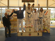 TENG Teddy, médaille d'or au championnat de France Universitaire 2011 de Taekwondo.