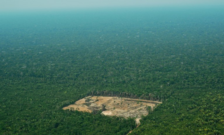 La déforestation en Amazonie sous l'oeil des satellites La déforestation en Amazonie sous l'oeil des satellites