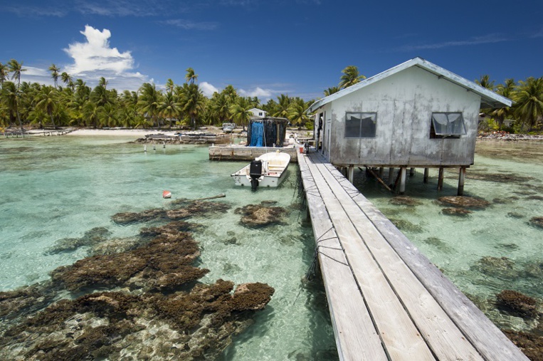 Seules les vraies perles noires polynésiennes ayant respecté un cahier des charges strict pourront bénéficier du futur label, dont le nom reste à définir. Seules les vraies perles noires polynésiennes ayant respecté un cahier des charges strict pourront bénéficier du futur label, dont le nom reste à définir.