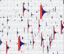 Séisme de magnitude 6,6 au large des côtes néo-zélandaises (USGS)