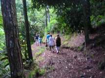 Sport, santé et loisirs au jardin Vaipahi ; Bouger contre l'asthme.