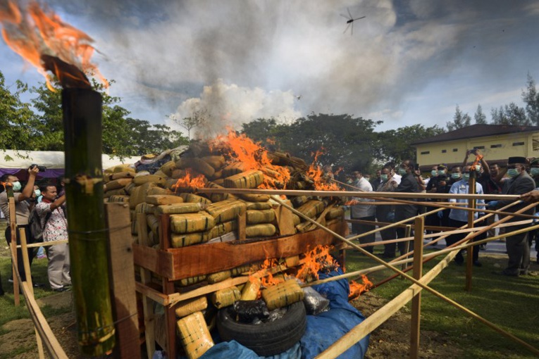 Indonésie : la police brûle une montagne de marijuana