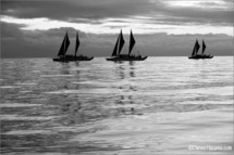 Faafaite i te ao Maohi Pour le renouveau de la navigation traditionnelle