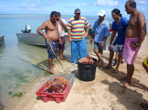Tubuai se mobilise pour son lagon