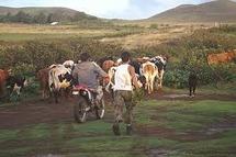 Compte-rendu de la mission de Louis Frebault aux Marquises