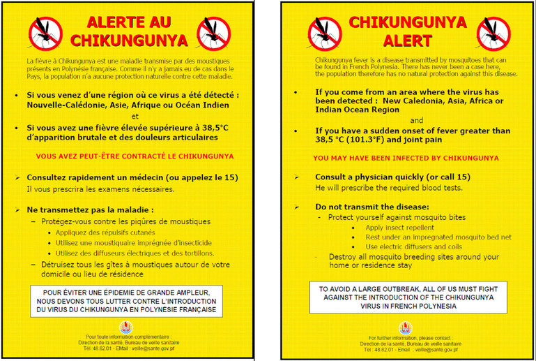 Chikungunya : 17 cas en Nouvelle-Calédonie, la Polynésie prend des mesures préventives