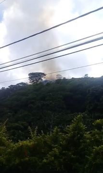 Un incendie de végétation maîtrisé sur les hauteurs de Arue (MàJ)