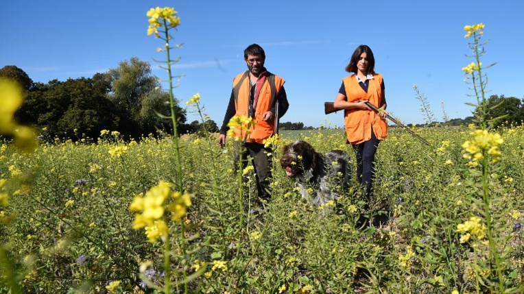 Normandie: polémique autour d'un radar à oiseaux pour les chasseurs financé par la Région Normandie: polémique autour d'un radar à oiseaux pour les chasseurs financé par la Région