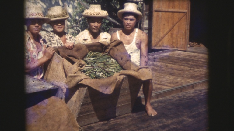 Cinematamua: renaissance de vieilles bobines