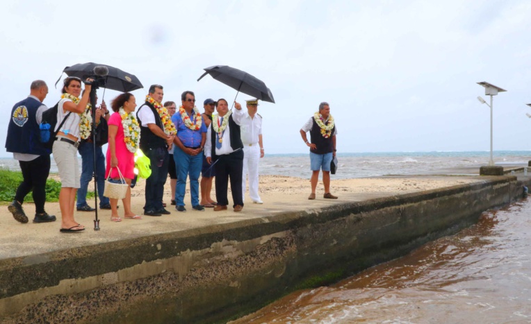 Tubuai : un site pilote pour lutter contre le brontispa du cocotier et la mouche des fruits Tubuai : un site pilote pour lutter contre le brontispa du cocotier et la mouche des fruits
