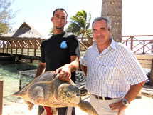 Le Haut‐Commissaire au chevet des tortues marines de Moorea