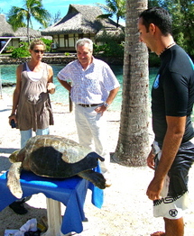 Le Haut‐Commissaire au chevet des tortues marines de Moorea