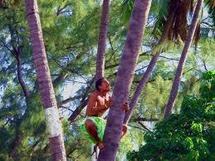 Le Championnat de Tahiti 2011 des Sports traditionnels se déroulera le 21 Mai