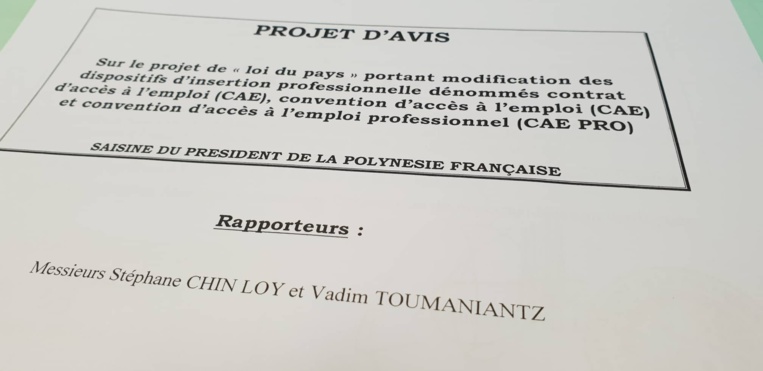 La nouvelle mouture de la Convention d'accès à l'emploi votée au CESC La nouvelle mouture de la Convention d'accès à l'emploi votée au CESC