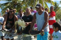 A Fakarava, la population veut s'impliquer dans la protection des tortues