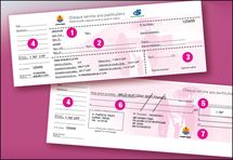 Chèque service aux particuliers: la piqûre de rappel du pays