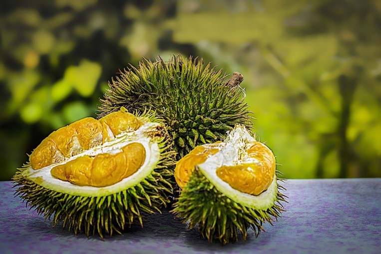 Des durians, savoureux mais à l'odeur nauséabonde, vendus à prix d'or en Indonésie