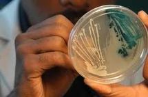Bactérie tueuse : "la plus grosse épidémie de syndrome hémolytique et urémique"