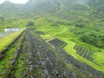 Hydroélectricité : le projet d'EDT dans la vallée de la Papeiha à Faaone