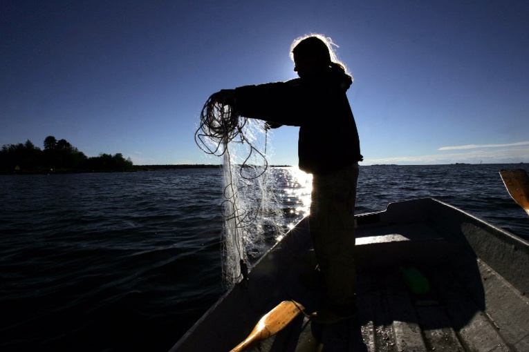 Pêche: Cash Investigation dénonce les ravages des DCP dans l'Océan indien Pêche: Cash Investigation dénonce les ravages des DCP dans l'Océan indien