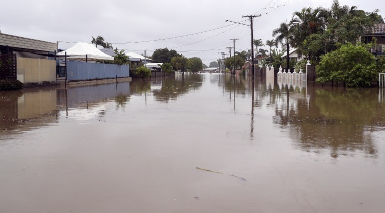 Eleveurs australiens: après le drame de la sécheresse, celui des inondations Eleveurs australiens: après le drame de la sécheresse, celui des inondations