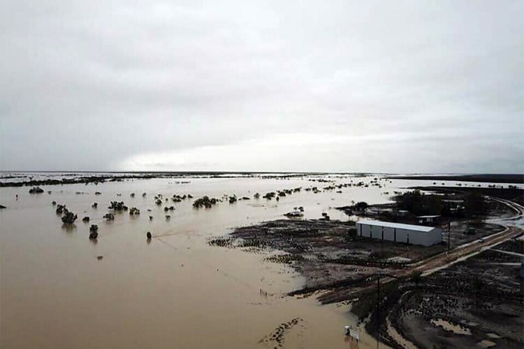 Inondations en Australie : une hécatombe redoutée pour le bétail