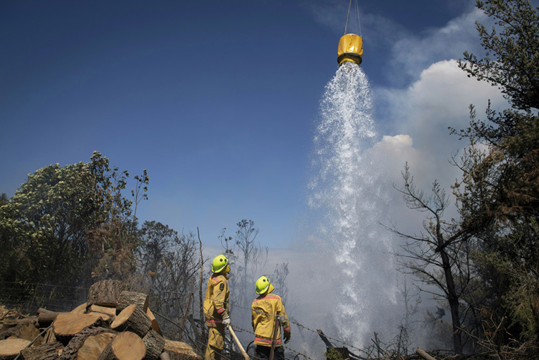 Nouvelle-Zélande: Un important feu de forêt risque de durer des semaines