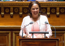 Statut de la Polynésie: le Sénat adopte "la reconnaissance" du "fait nucléaire" Statut de la Polynésie: le Sénat adopte "la reconnaissance" du "fait nucléaire"