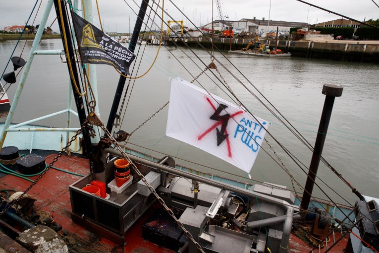 La France va anticiper l'interdiction de la pêche électrique dans ses eaux territoriales