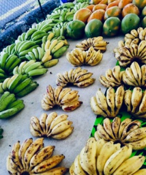 Un nouveau point de vente de fruits et légumes locaux à Papeete