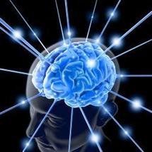 Epilepsie: des chercheurs identifient un gène "clé"