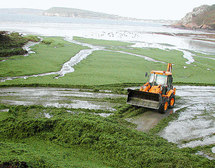 Lutte contre les algues vertes: signature d'un projet pilote en Bretagne
