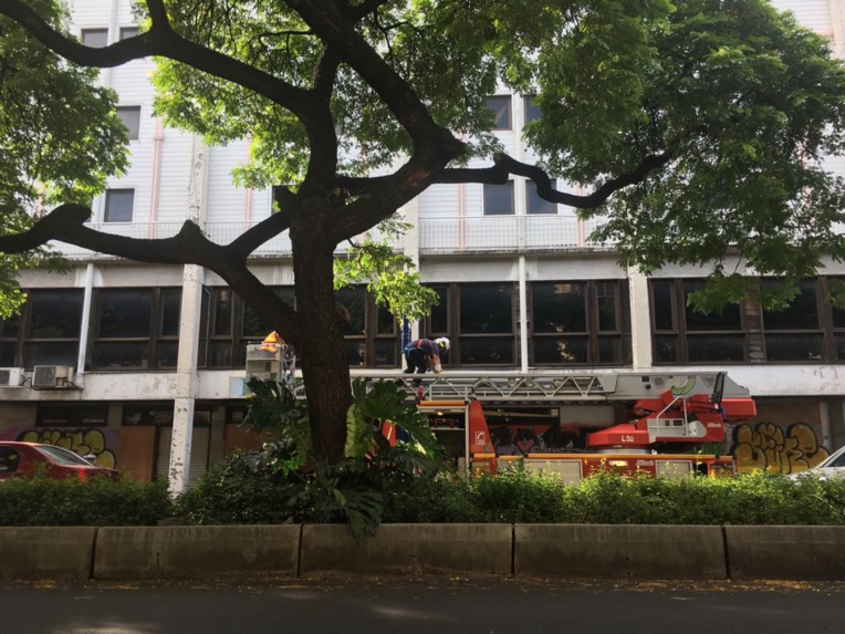 Une partie de l'ancien casino de la rue Prince Hinoi s'effondre