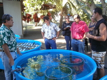 Le ministre du Développement des Archipels en déplacement à Papara