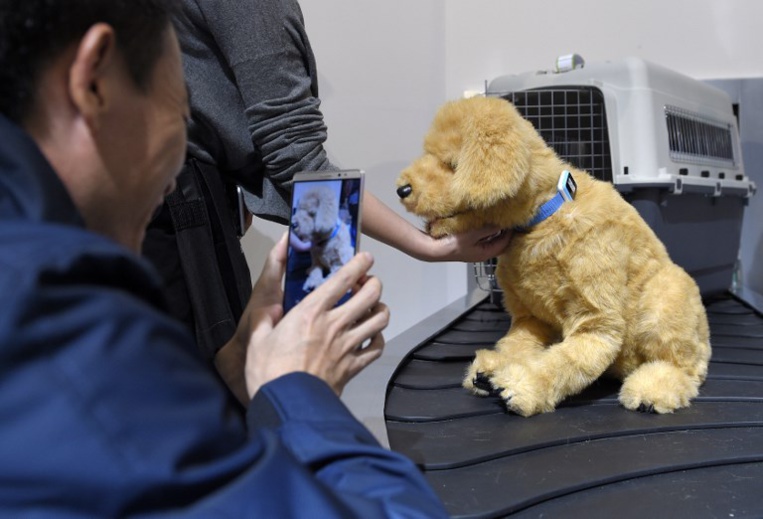 Après les humains, l'industrie du mobile connecte les animaux