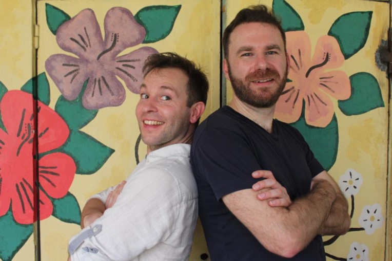 L’histoire de France pour les nuls (et les autres)