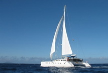 Image d'illustration